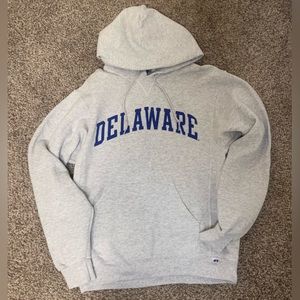 Delaware Gray Sweatshirt